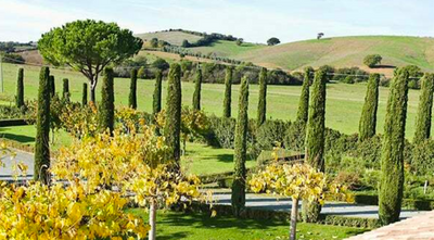 Great Value Red from the Tuscan Coast!