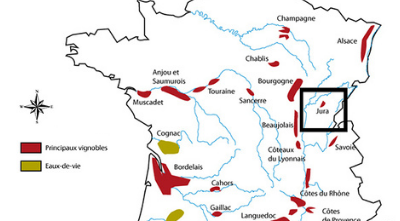 Picture Perfect Pinot from France on Sale!