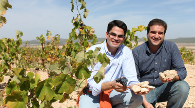 Fresh Spanish Rosé to Support Wellfleet SPAT!