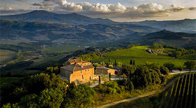 Top-Scoring Brunello