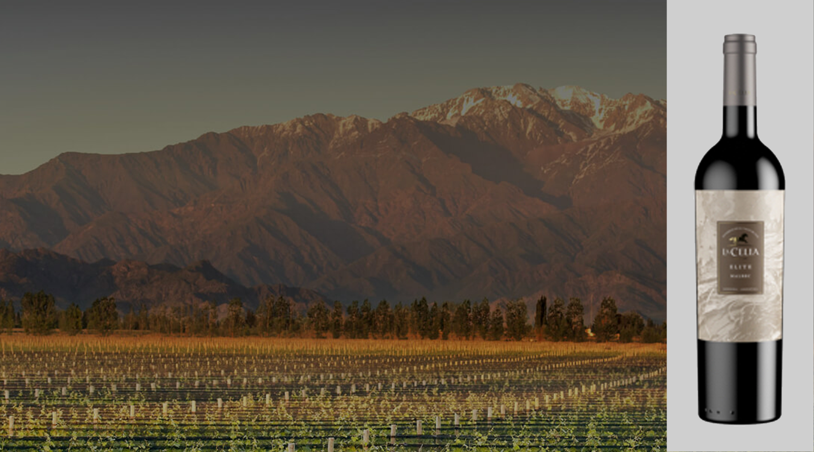 Whatcha Drinkin? A Malbec from La Celia