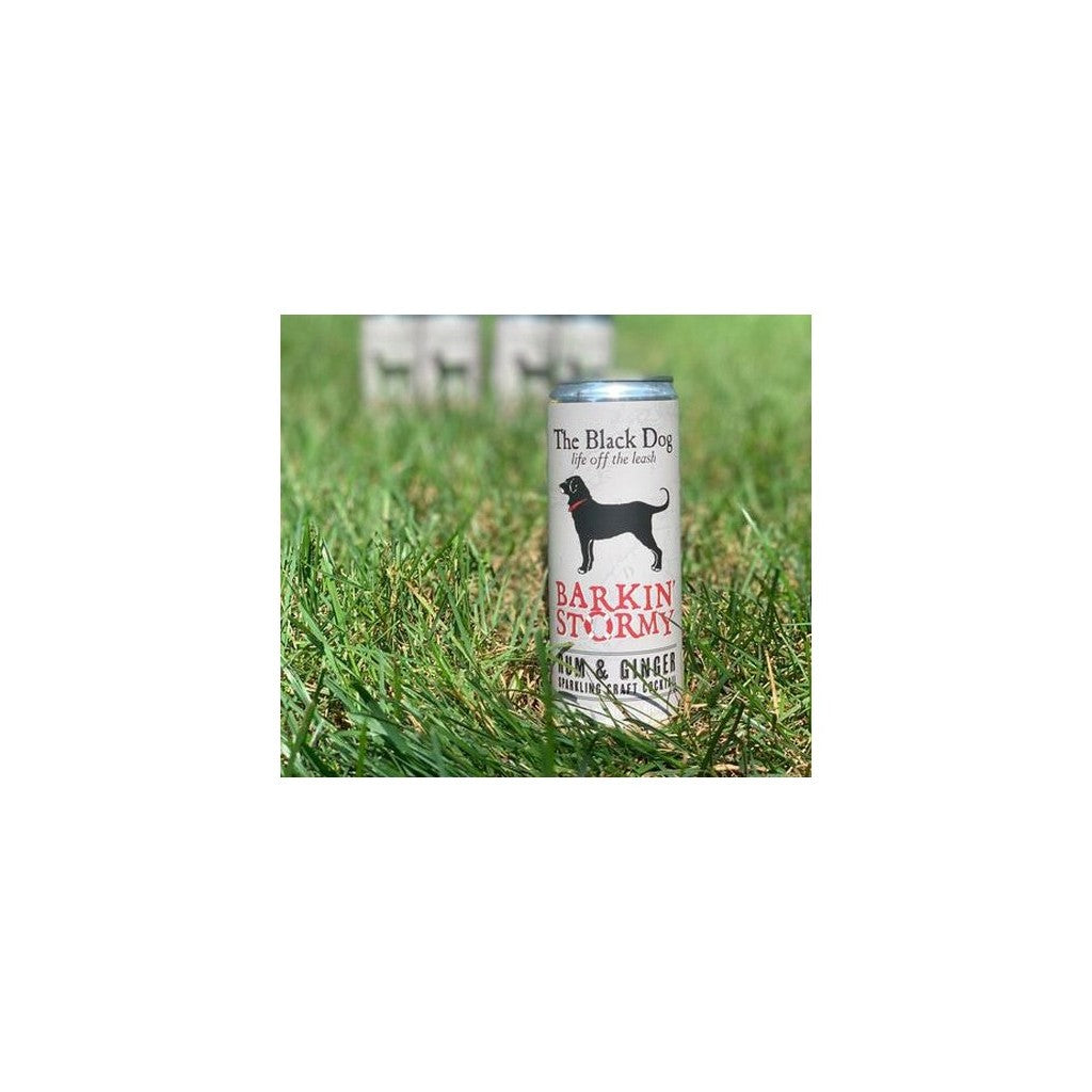 The Black Dog Barkin Stormy 12oz 4 Pack Cans